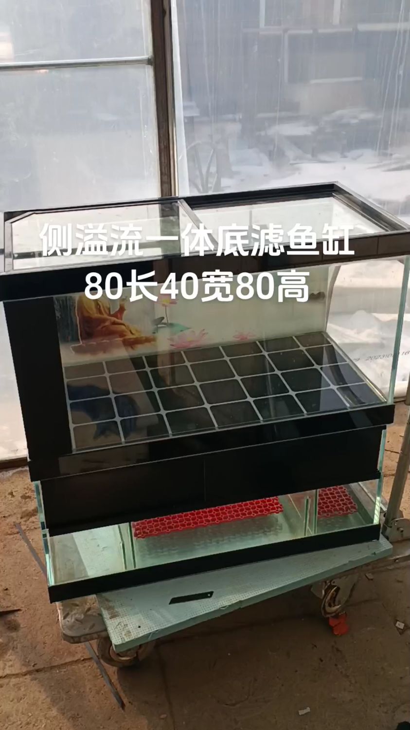 侧溢流一体底滤鱼缸