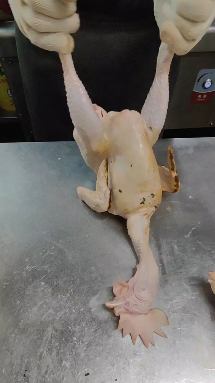 烧鸡经典造型