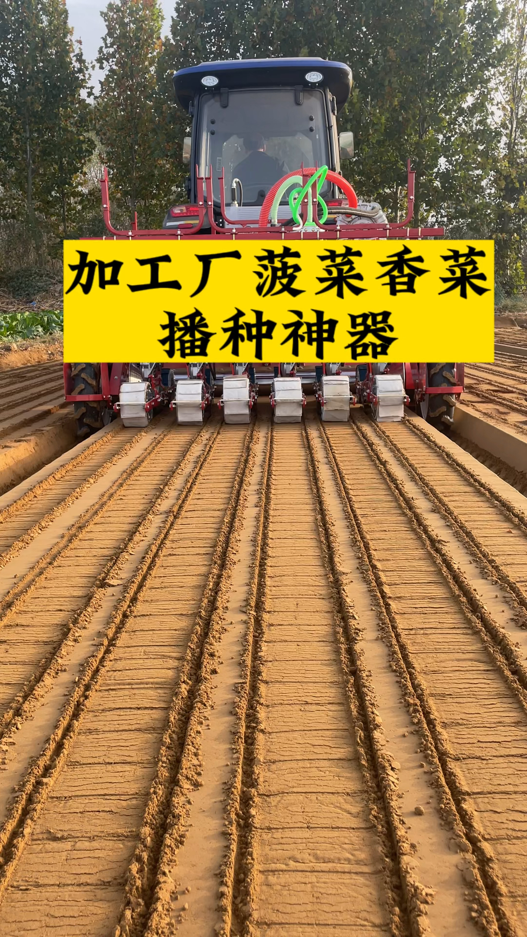 青岛大顺加工厂菠菜香菜播种神器 蔬菜播种机