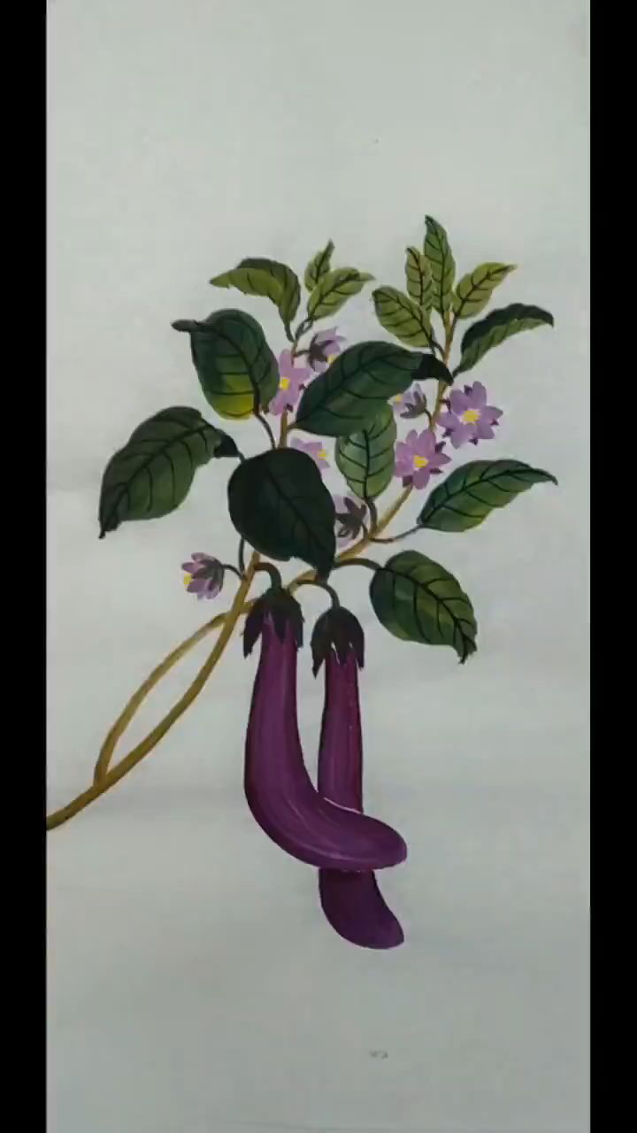 写意蔬菜紫茄子