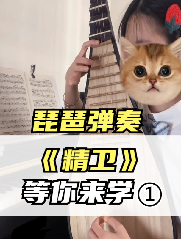 中国传统乐器:琵琶弹奏《精卫》声嘶力竭的鸟,沉默寡言的羊