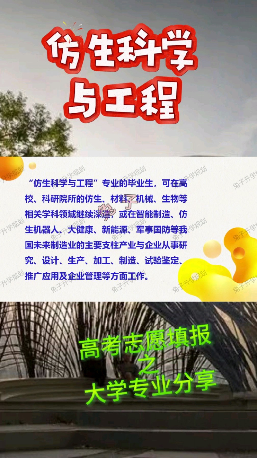 大学专业165:仿生科学与工程