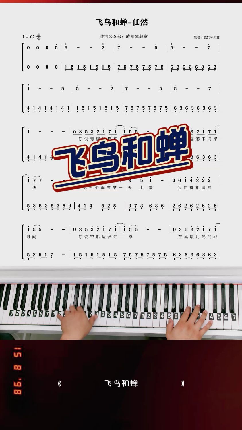 简单慢速《飞鸟和蝉》钢琴简谱教学