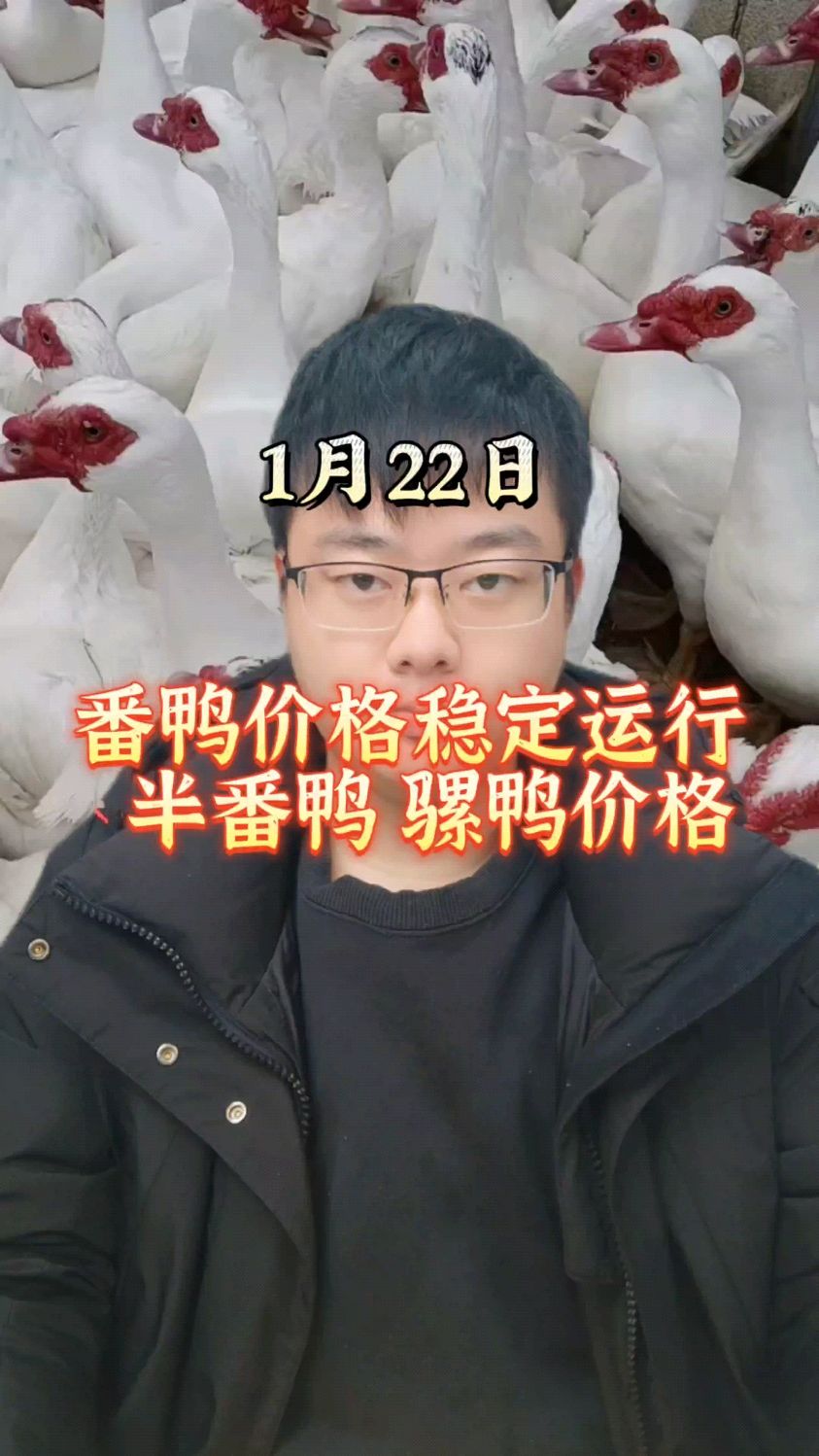 番鸭价格最新行情 番鸭价格表 番鸭价格 番鸭价格趋势 市场番鸭价格