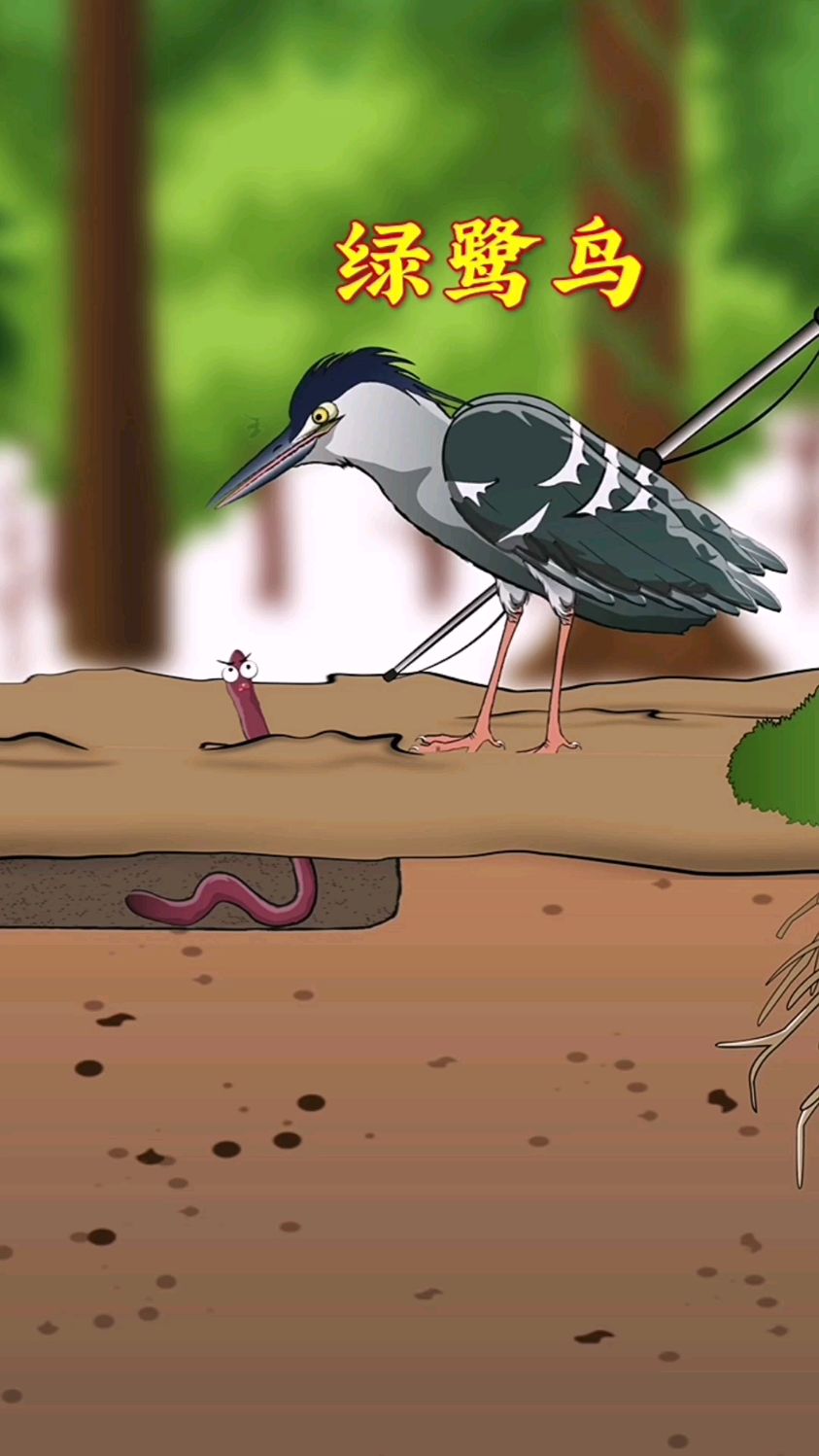 绿鹭鸟是一种很聪明的鸟类!它会模仿人类钓鱼吃!