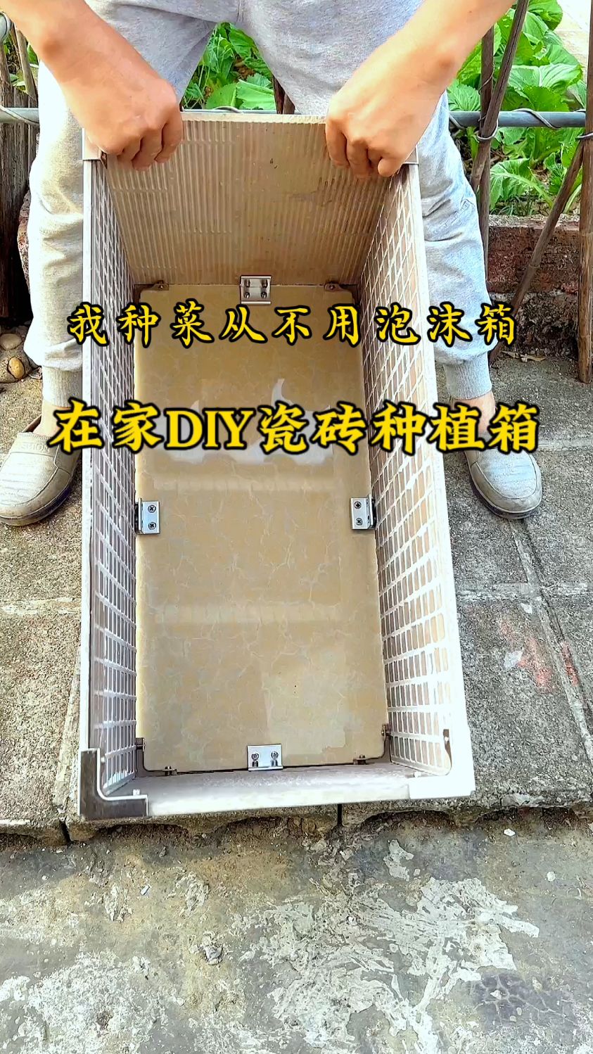阳台种菜别再用泡沫箱啦,捡几块瓷砖在家就能自制网红瓷砖种植箱了