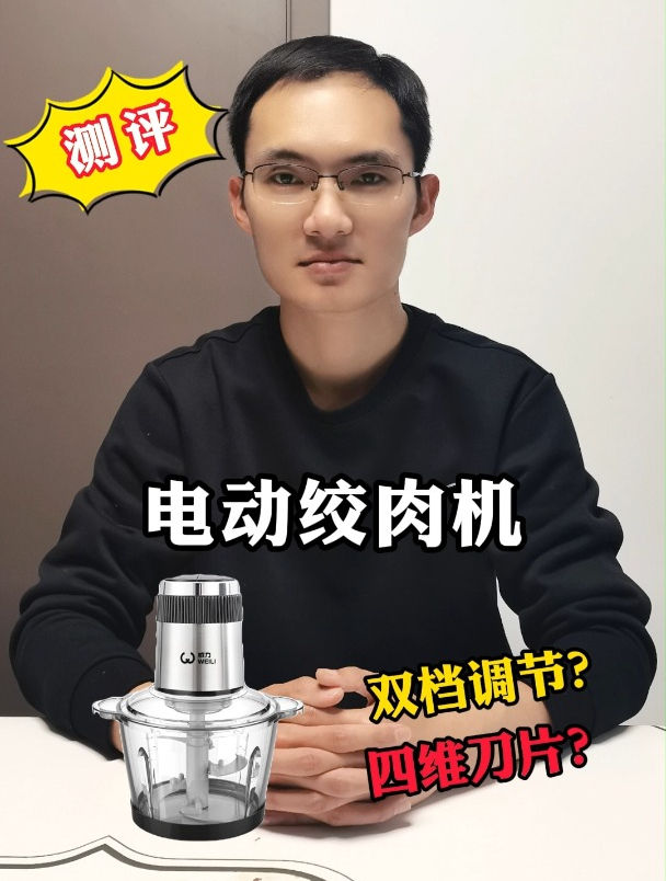 39.9一个的电动绞肉机能行吗?