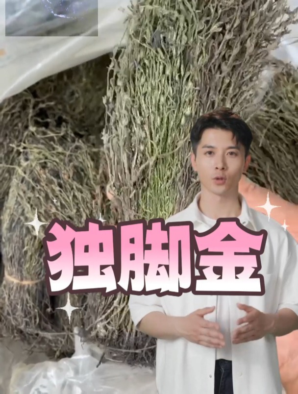 独脚金它的用途和功效,欢迎家人们了解