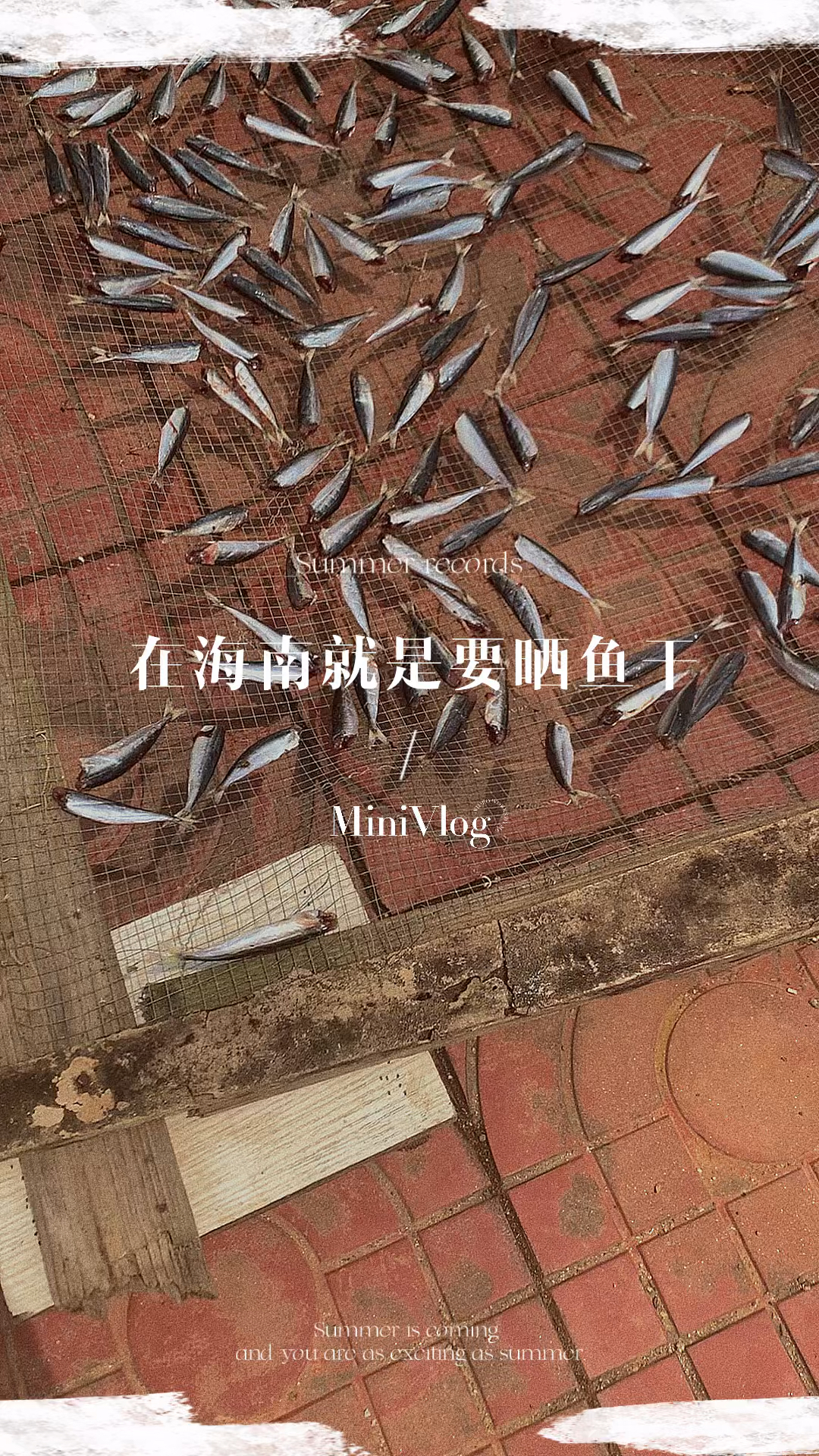 如果你在海南能买到不超过5元一斤新鲜灯光鱼,不妨试试自制小鱼干,经济实惠又好吃