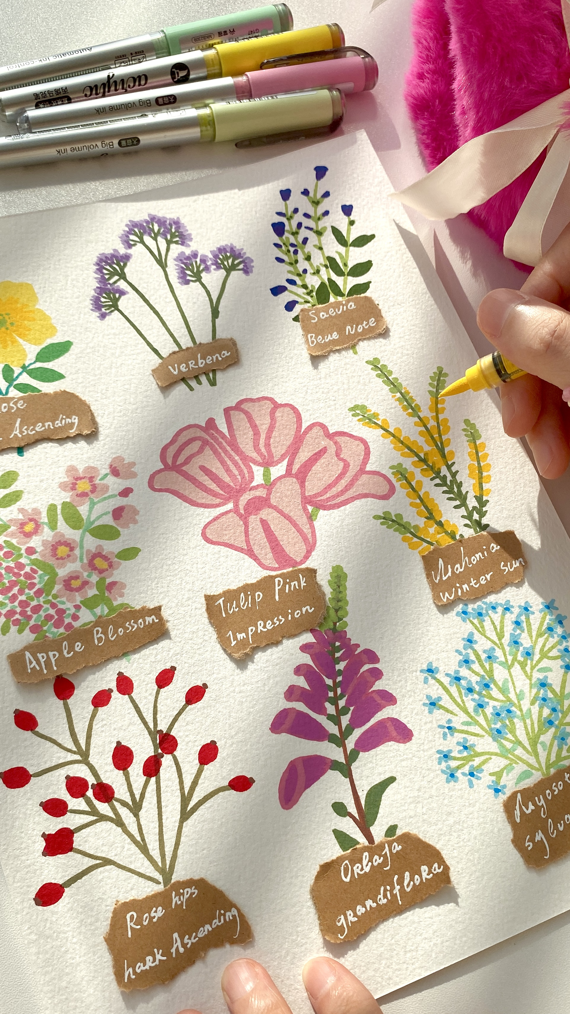 原创马克笔手绘各种花卉治愈插画