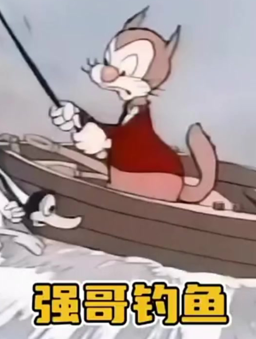 你没见过的小猫钓鱼的故事