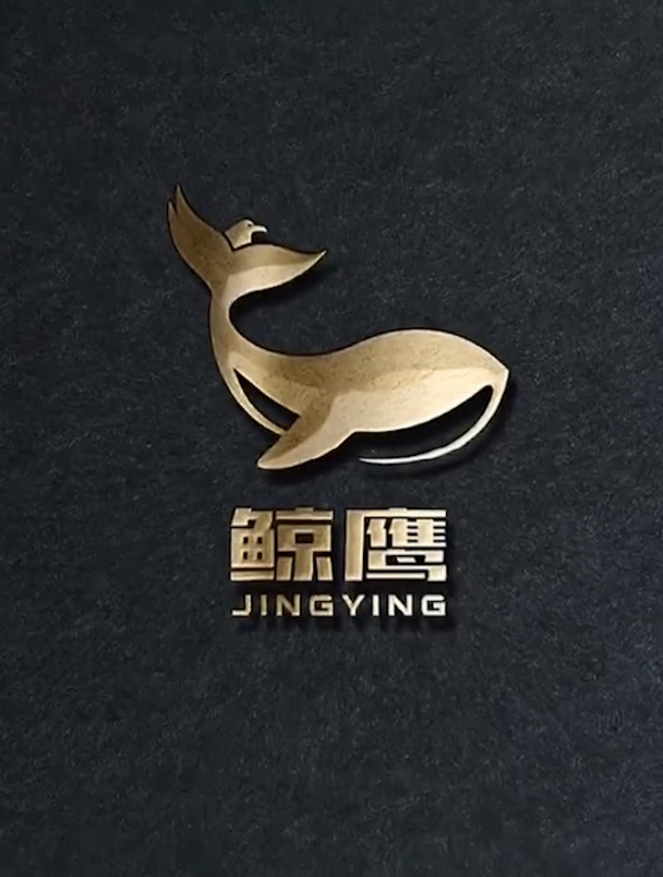 这可能是我做过最轻奢的LOGO,鲸鱼和老鹰相结合,太牛了!