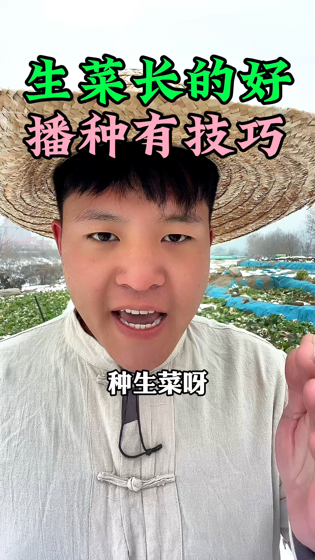 生菜种子泡水播种技巧