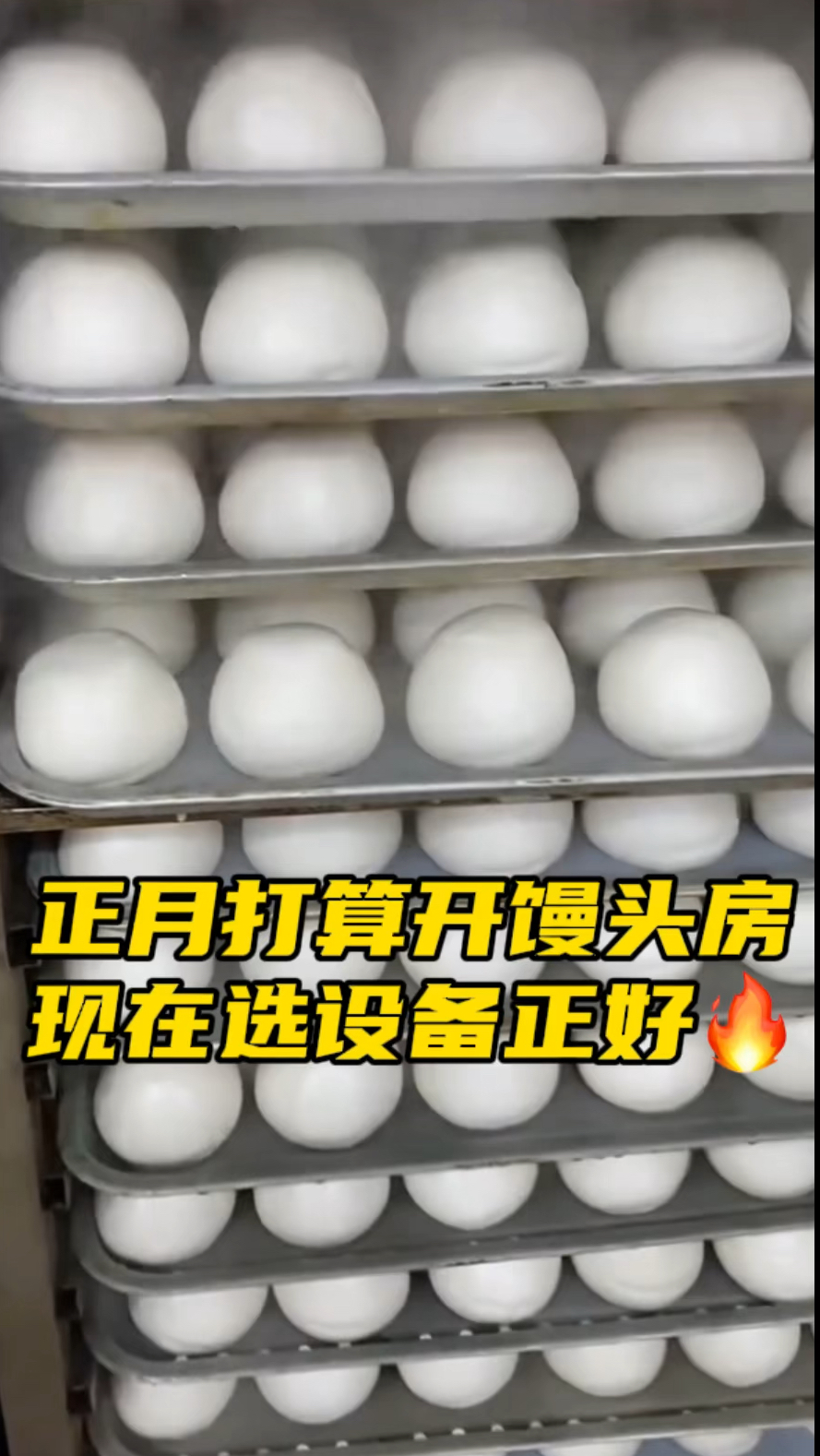 #全自动馒头生产线 #蒸馒头设备 #一机多用省时省力省人工 #馒头房 #专业生产厂家