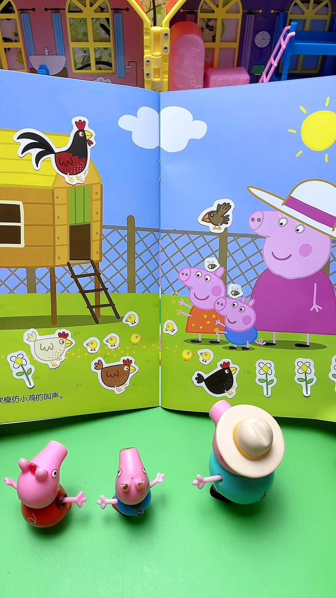 奶奶的小鸡圈子