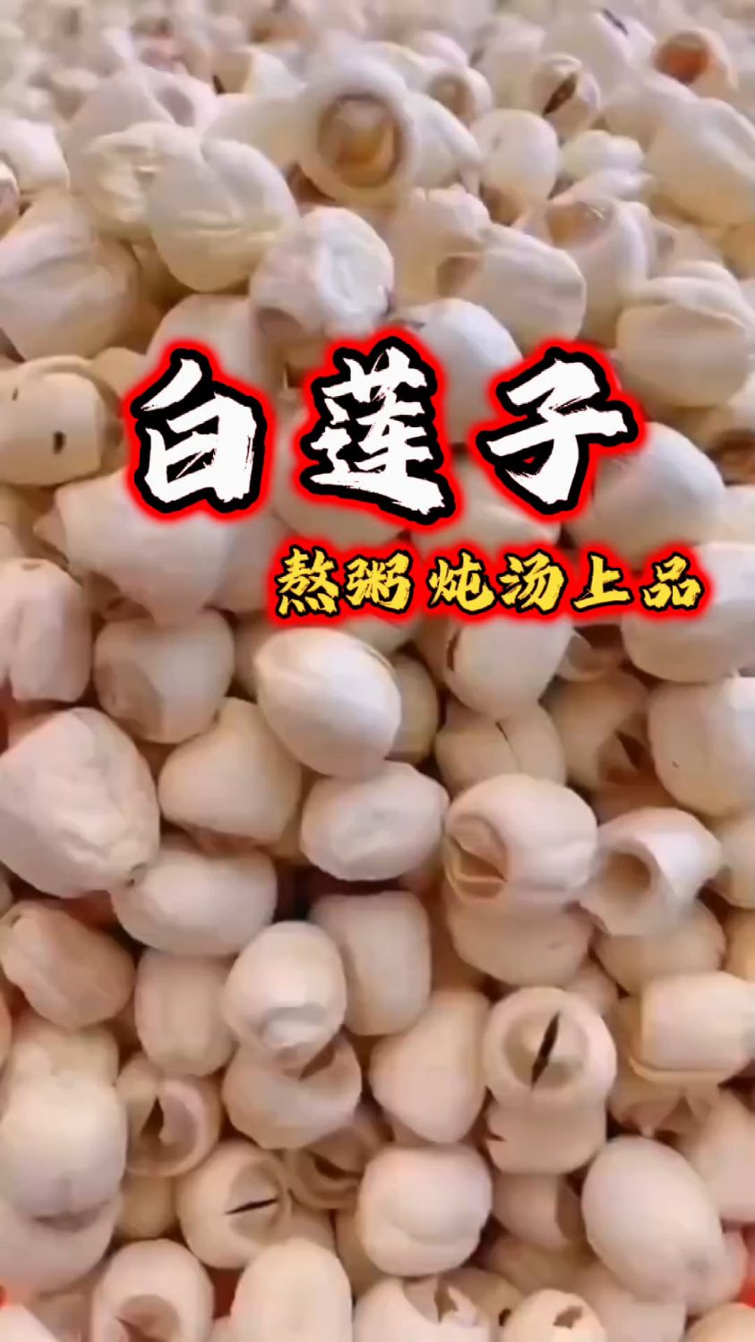 莲子是个宝,熬粥炖汤少不了,你还知道怎么食用吗