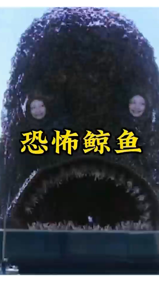 海面上竟出现了一个恐怖的鲸鱼怪物。