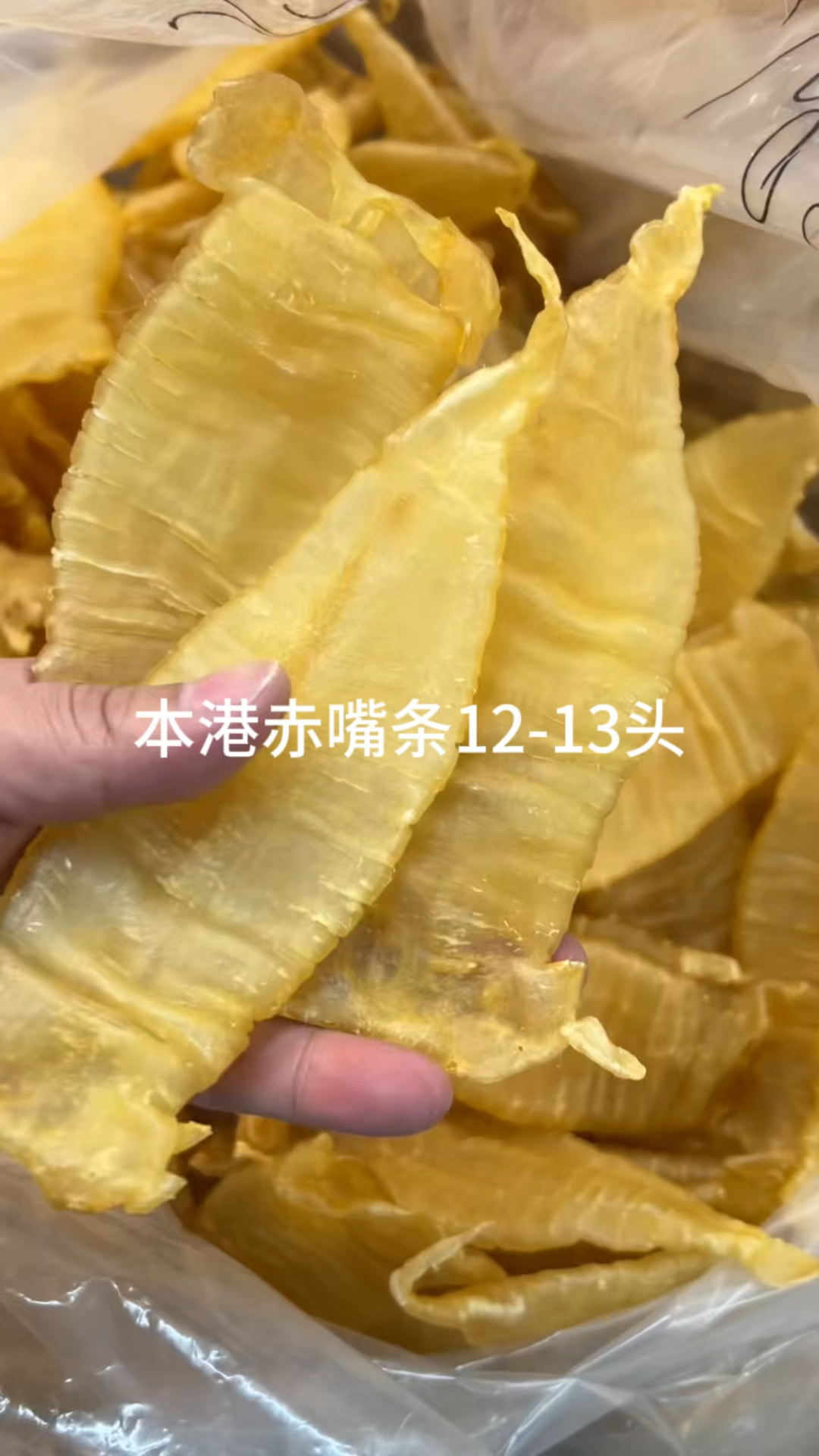 大口胶,双背胶,红鸡公母,鳝鱼肚,赤嘴条,安南胶,阴阳条,青鱼胶,石斑肚,咸水筒