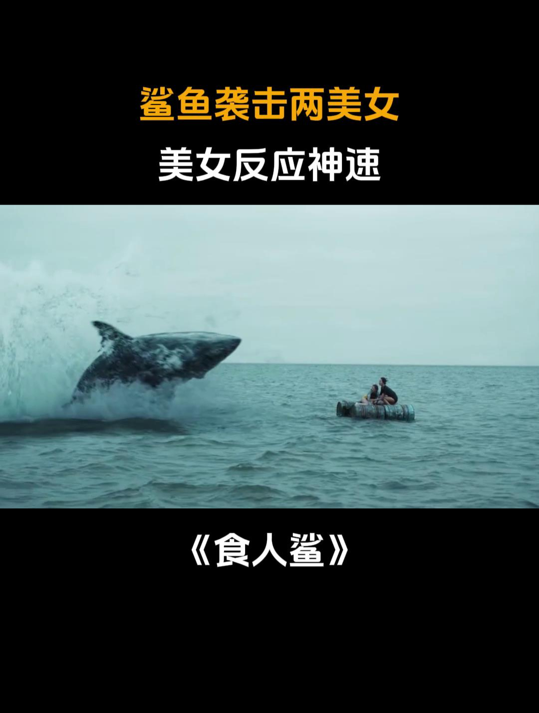 食人鲨:鲨鱼袭击两美女,美女反应神速,死里逃生