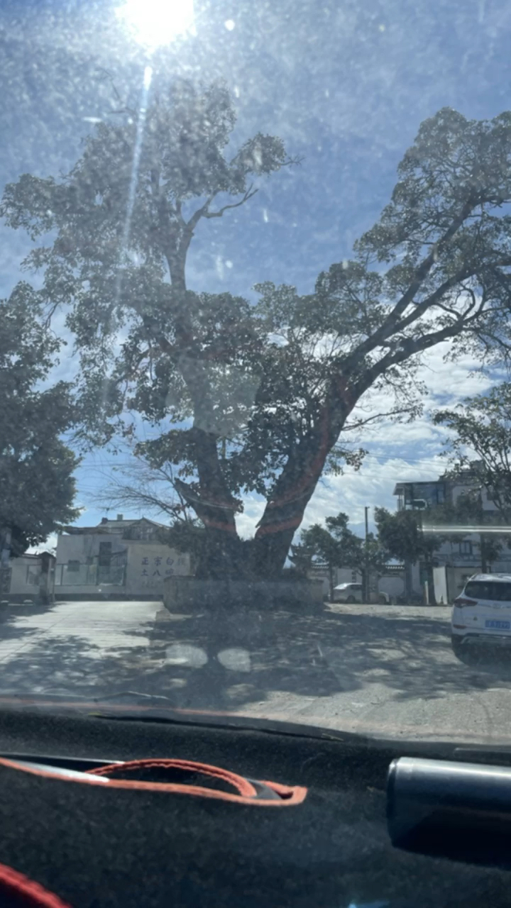 喜洲古镇麦田咖啡凉鸡米线