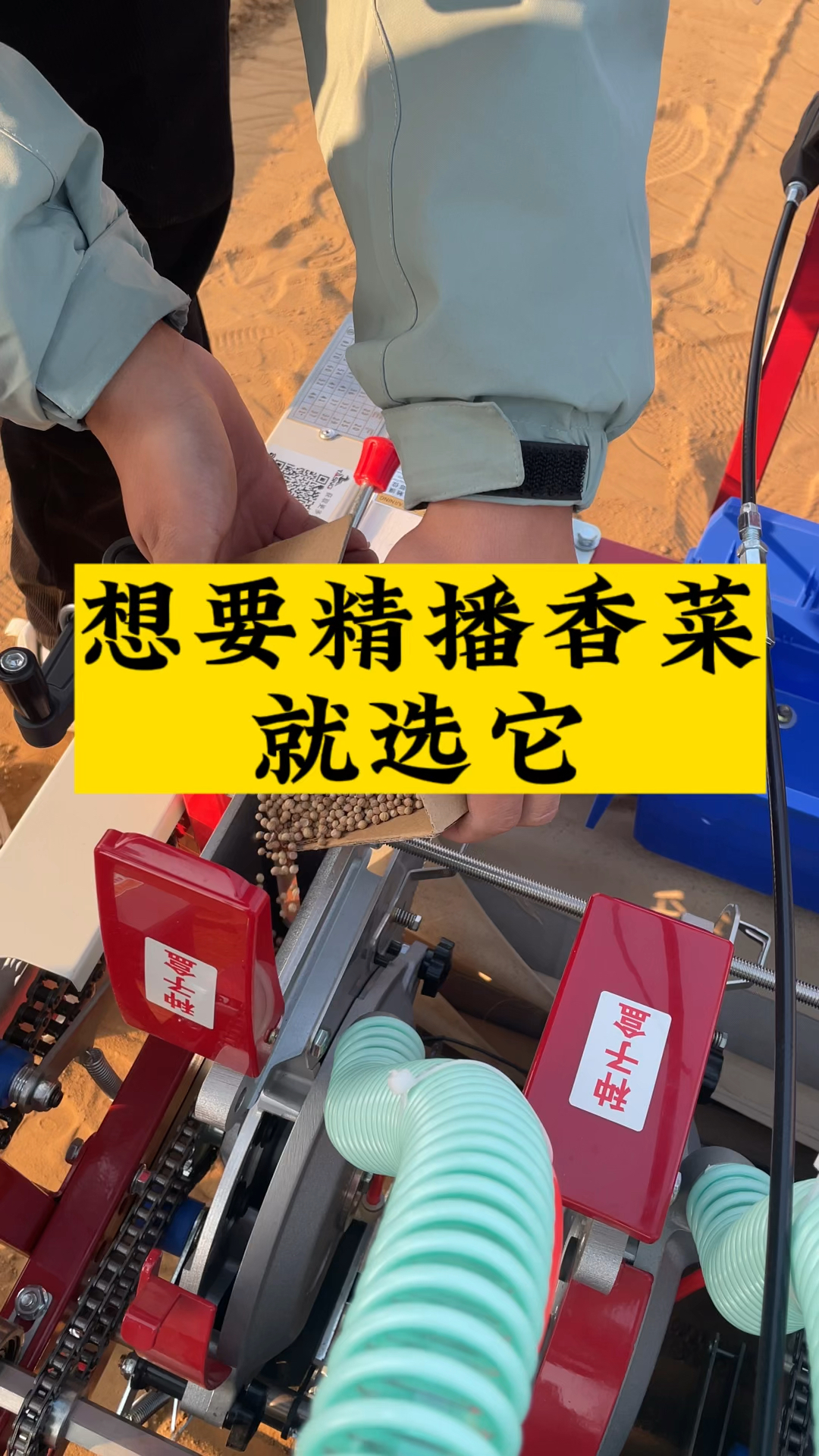 想要精播香菜就选它