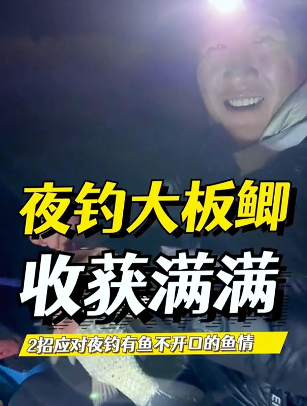 南方夜钓大板鲫,如何才能鱼获满满?老钓友透露这秘诀!