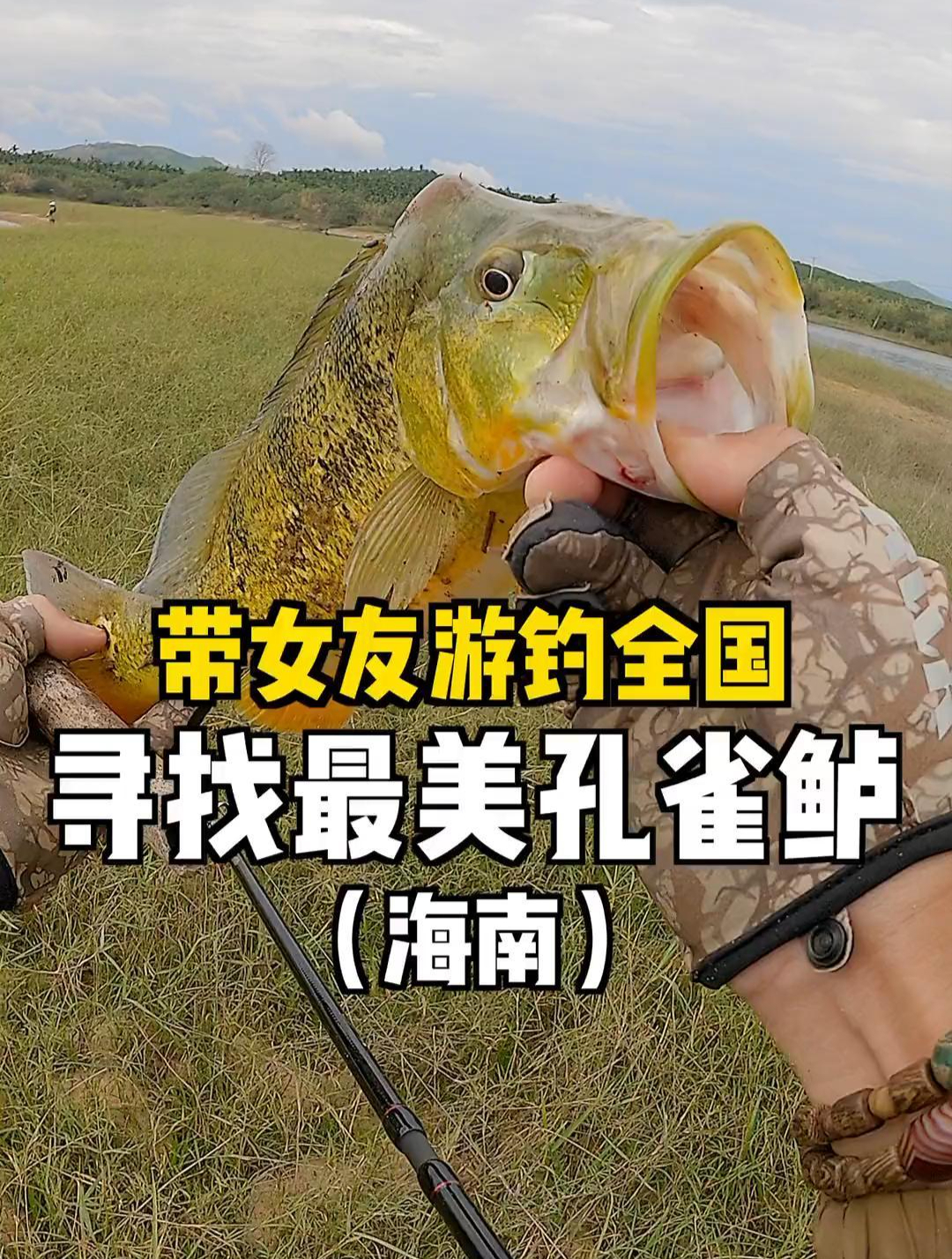跑到中国最南端,解锁了最美的稀有鱼种“孔雀鲈鱼”(上)