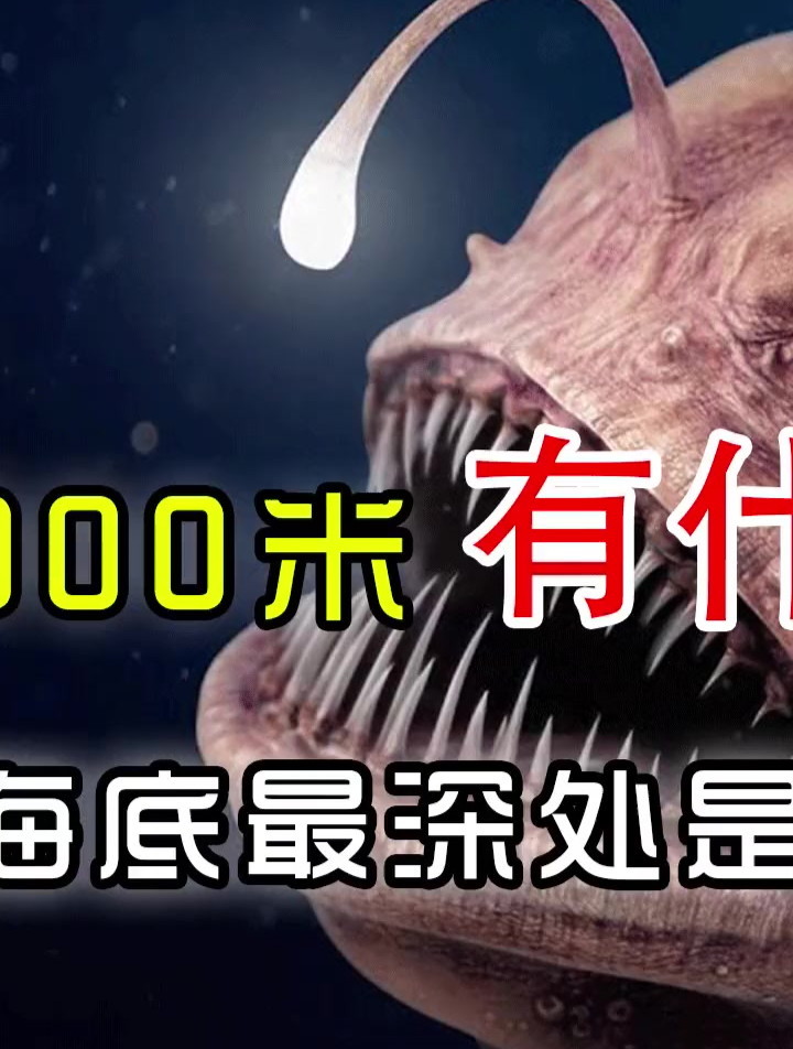 海底10000米有什么?人类已知海底最深处是多少?(中篇)