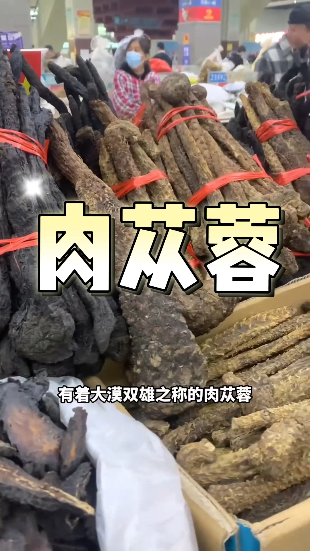 第25集:大漠双雄肉苁蓉