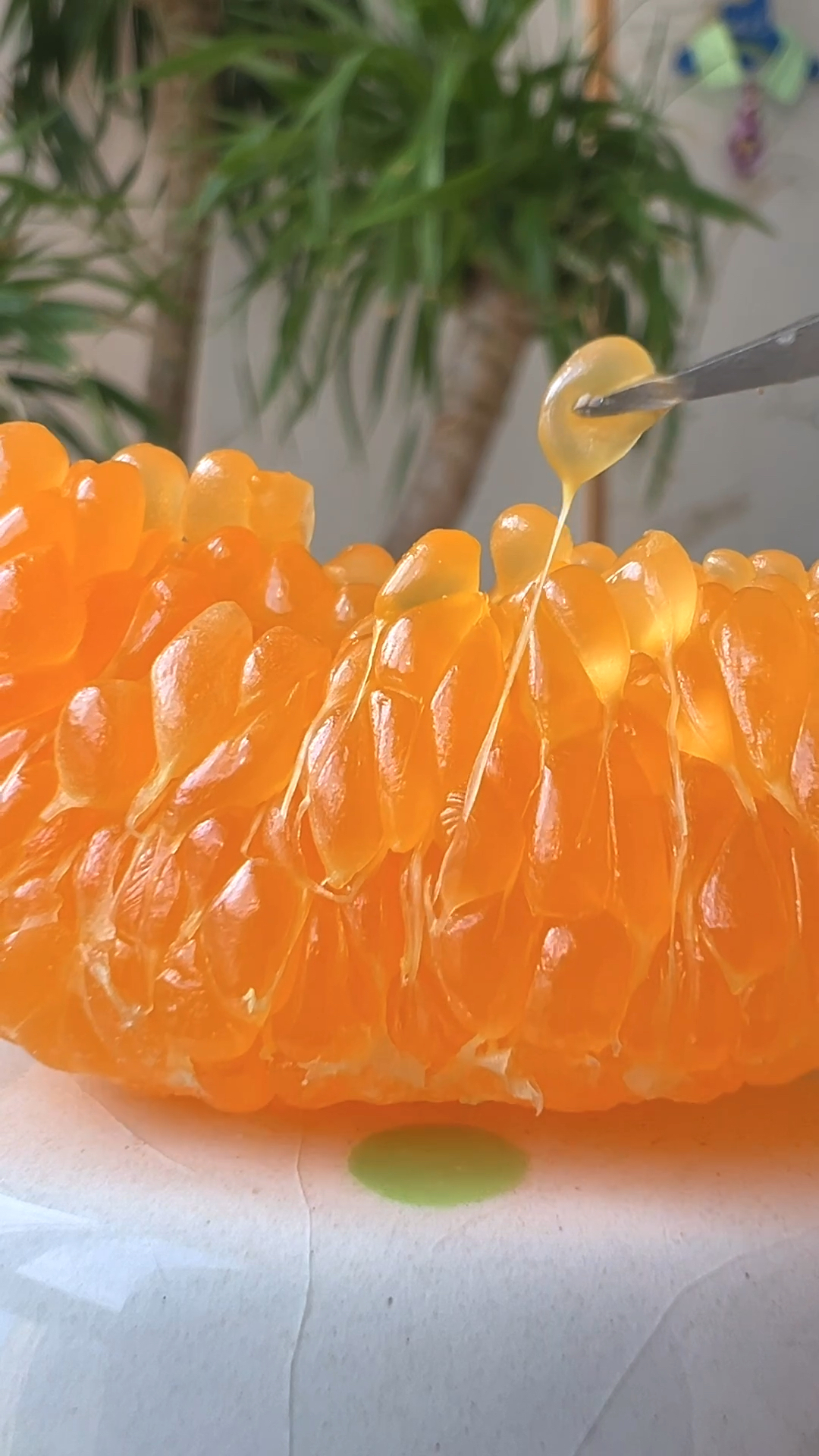 猫王:水果茶的万能公式,学会这个实现水果茶自由