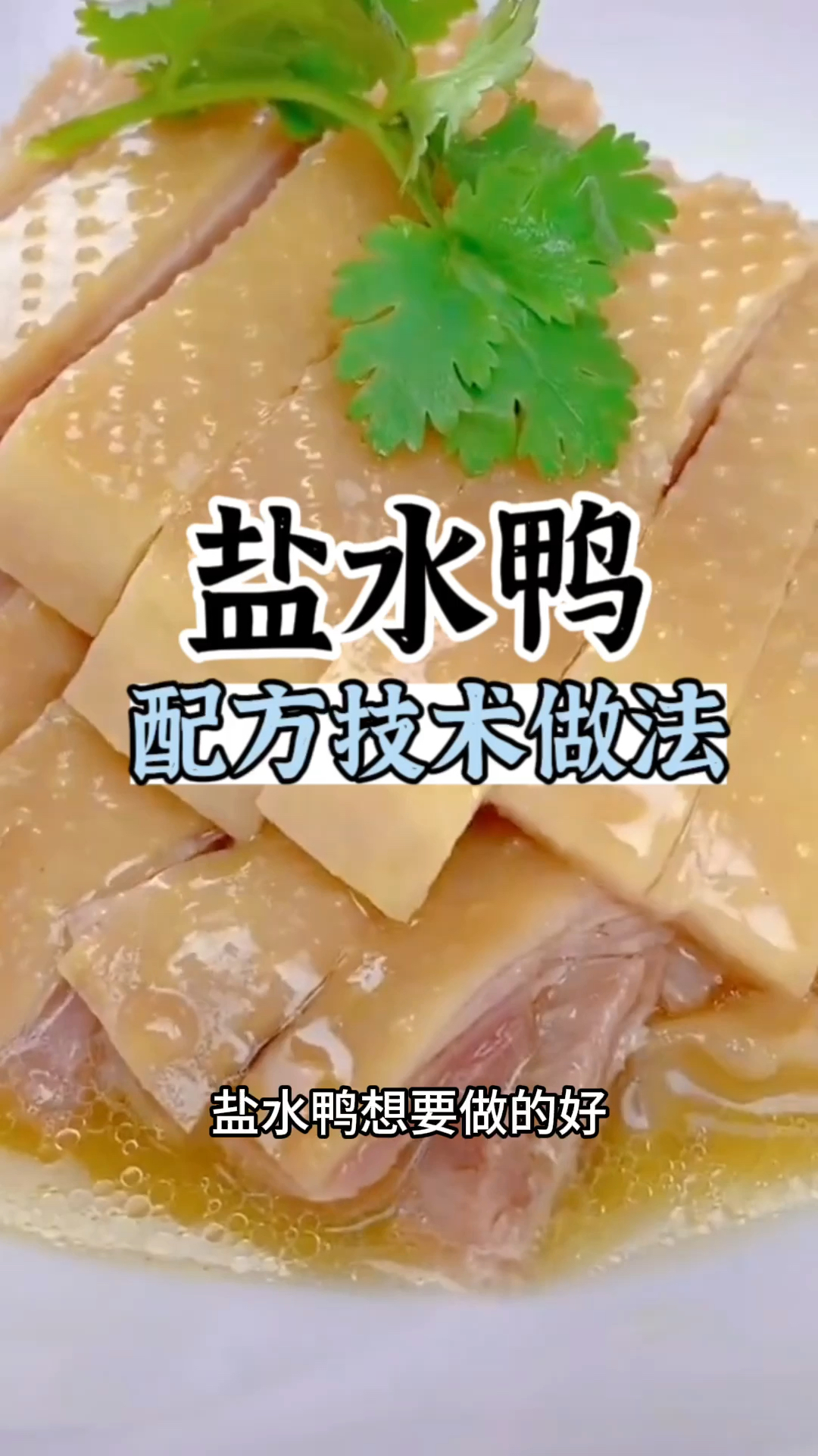 盐水鸭做法,盐水鸭技术配方,长沙盐水鸭教学,盐水鸭培训