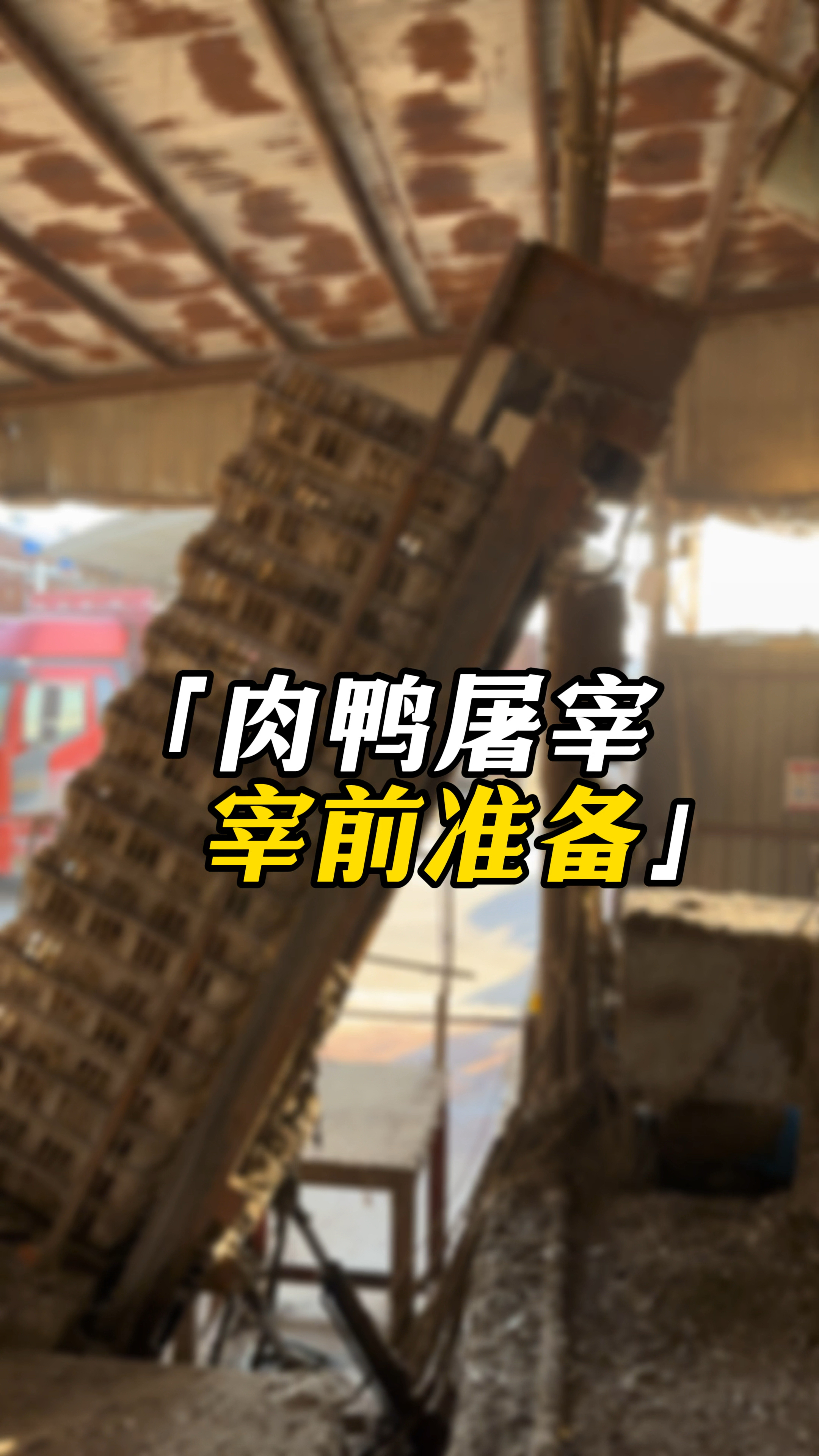 鸿源肉鸭屠宰工艺流程——宰前准备