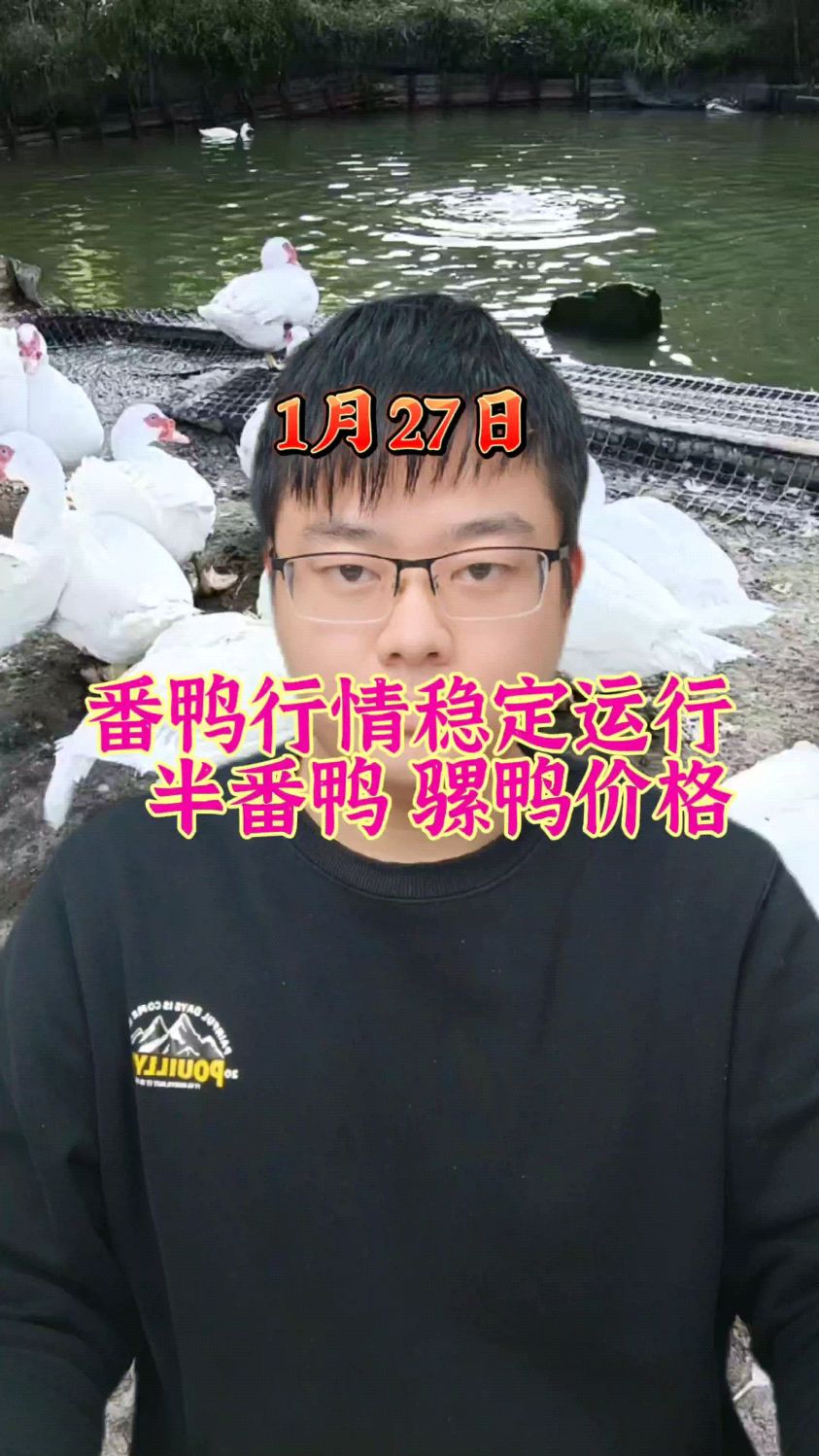 番鸭价格最新行情 番鸭价格表 番鸭价格 番鸭价格趋势 市场番鸭价