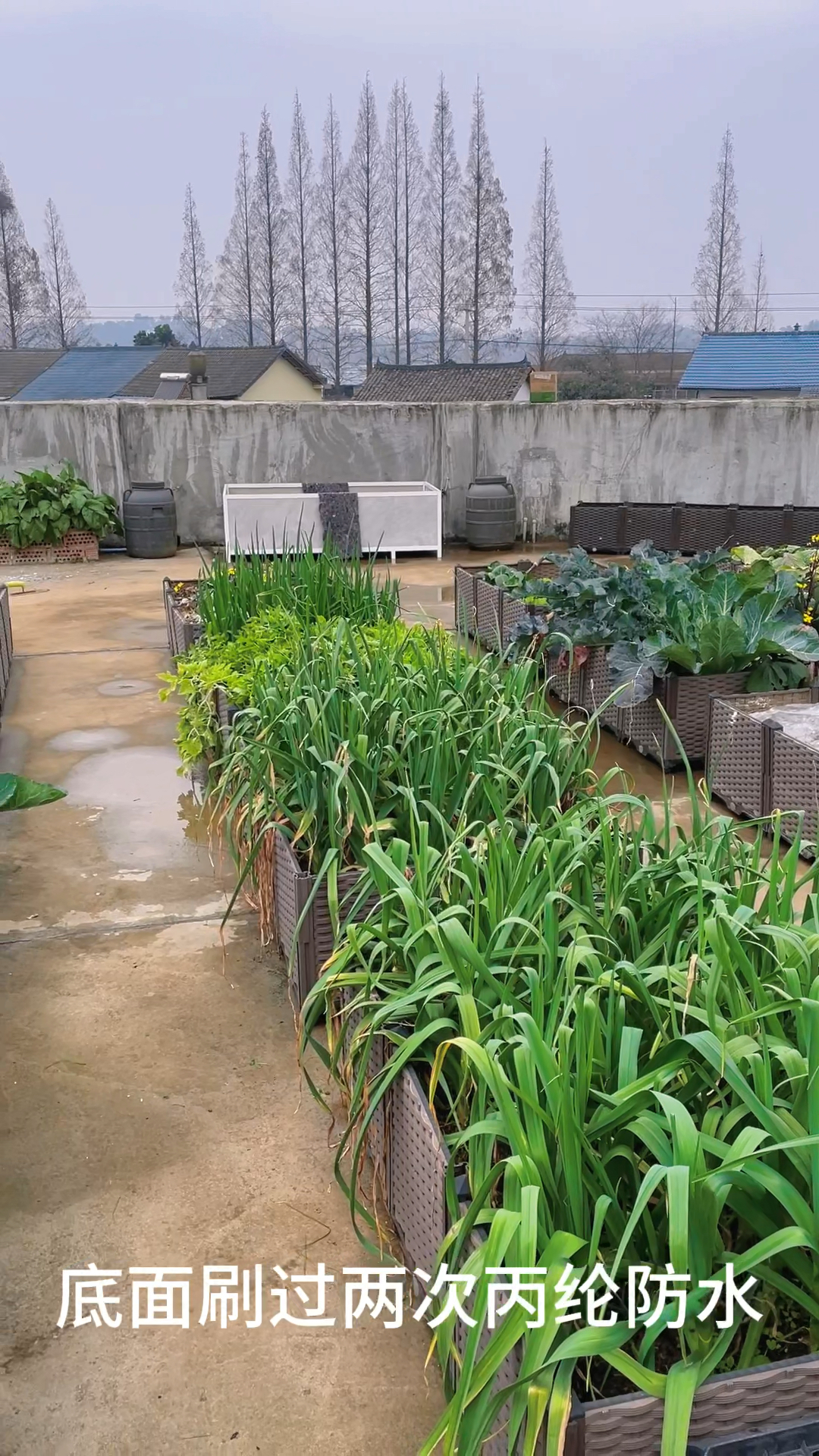 楼顶种菜最怕的就是漏水了,在做防水之前一定要做好堵漏工作