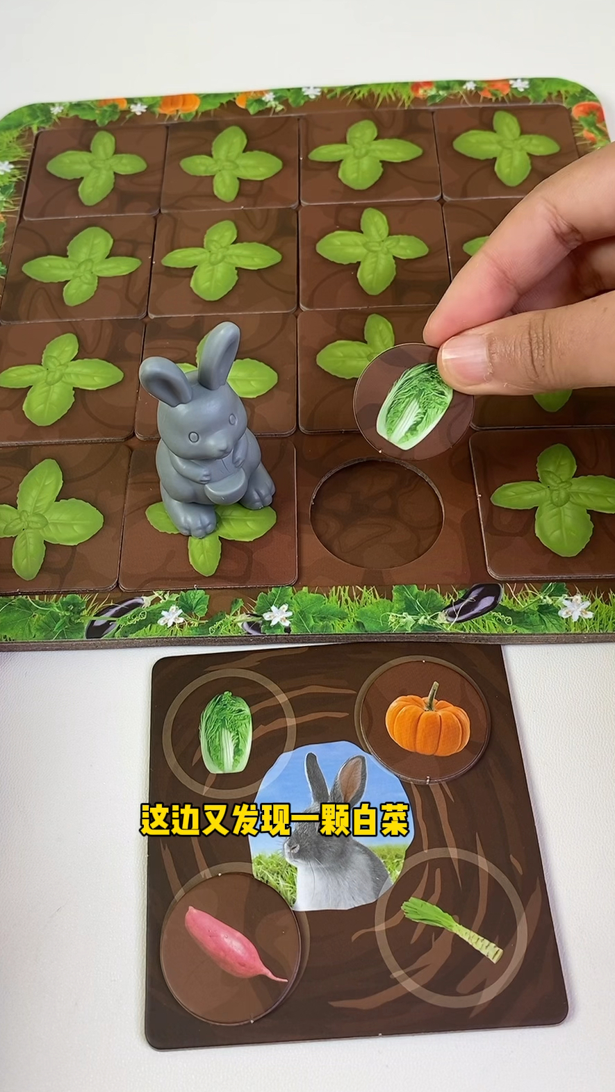 可恶!是谁偷了我的菜园子