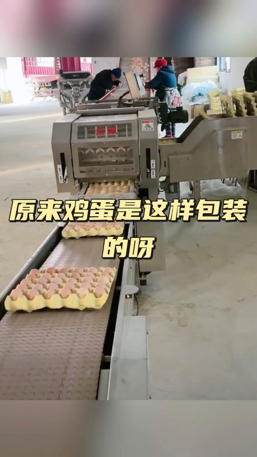 原来鸡蛋是这样包装的呀!