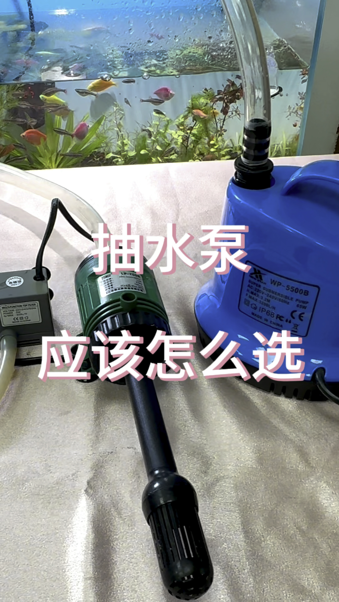 鱼缸抽水泵,根据流量选更合适。#养鱼日记 #水族 #观赏鱼