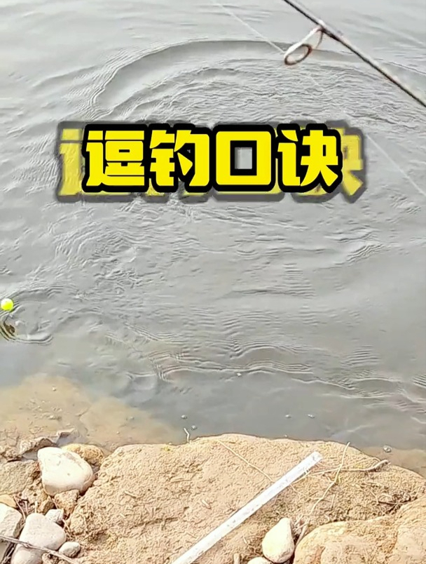 如何逗钓鲤鱼?老钓友总结这几句口诀!