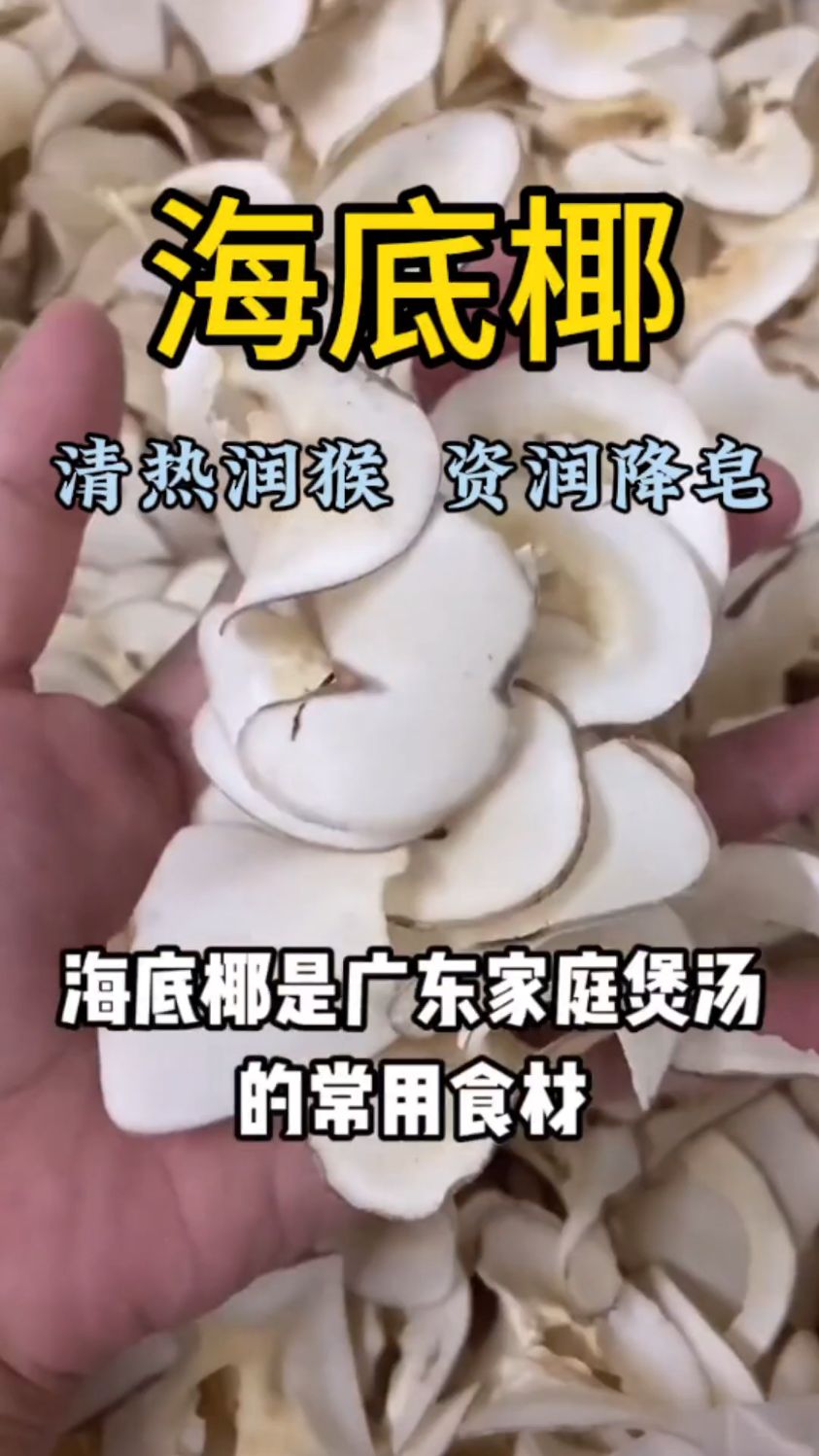 海底椰是广东家庭煲汤常用食材,润润的