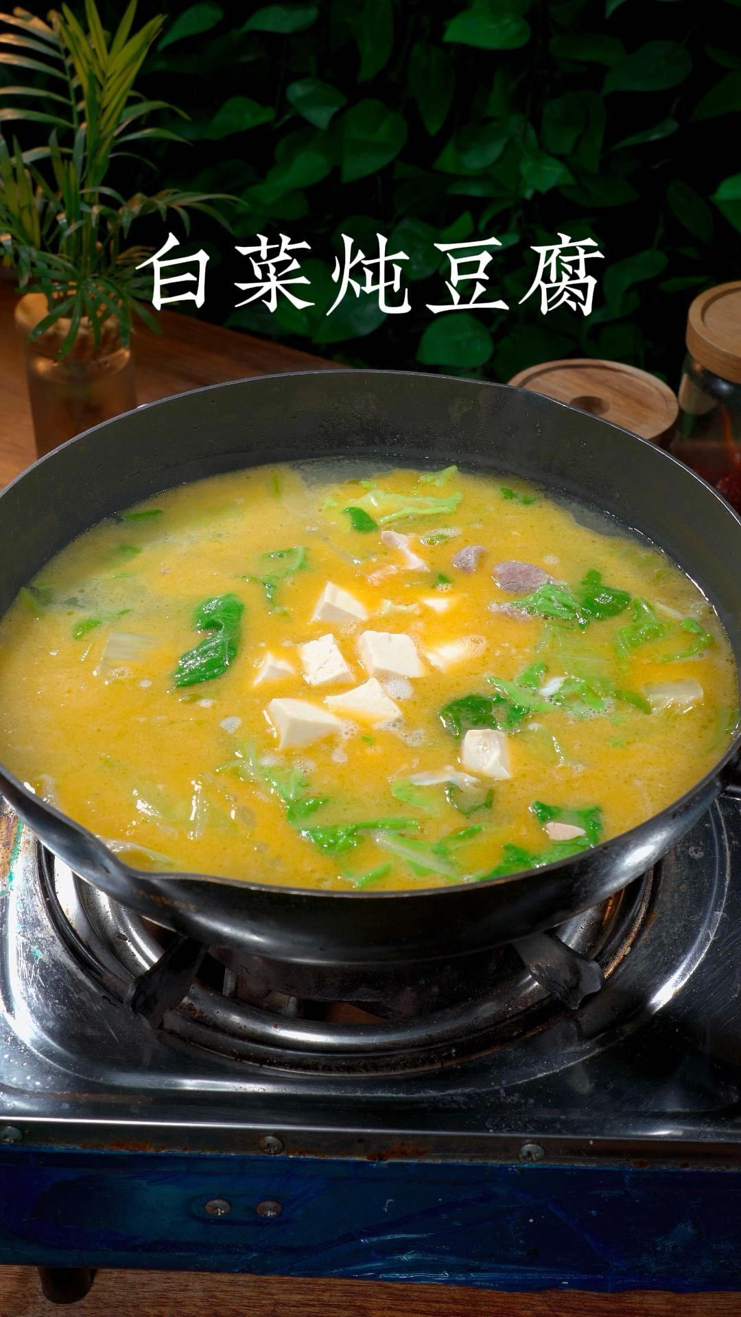 白菜炖豆腐很多人都会做,真正做好的没有几个人,你像我这样做简单又好喝#白菜炖豆腐