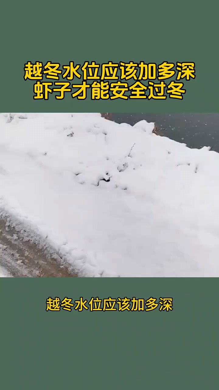 虾子越东水位加多深