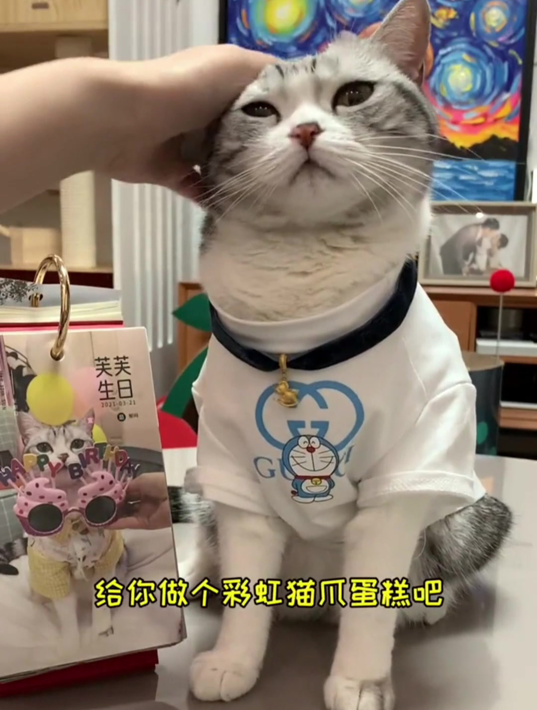 为她做了一个彩虹猫爪蛋糕,小猫咪能吃的蛋糕哦!
