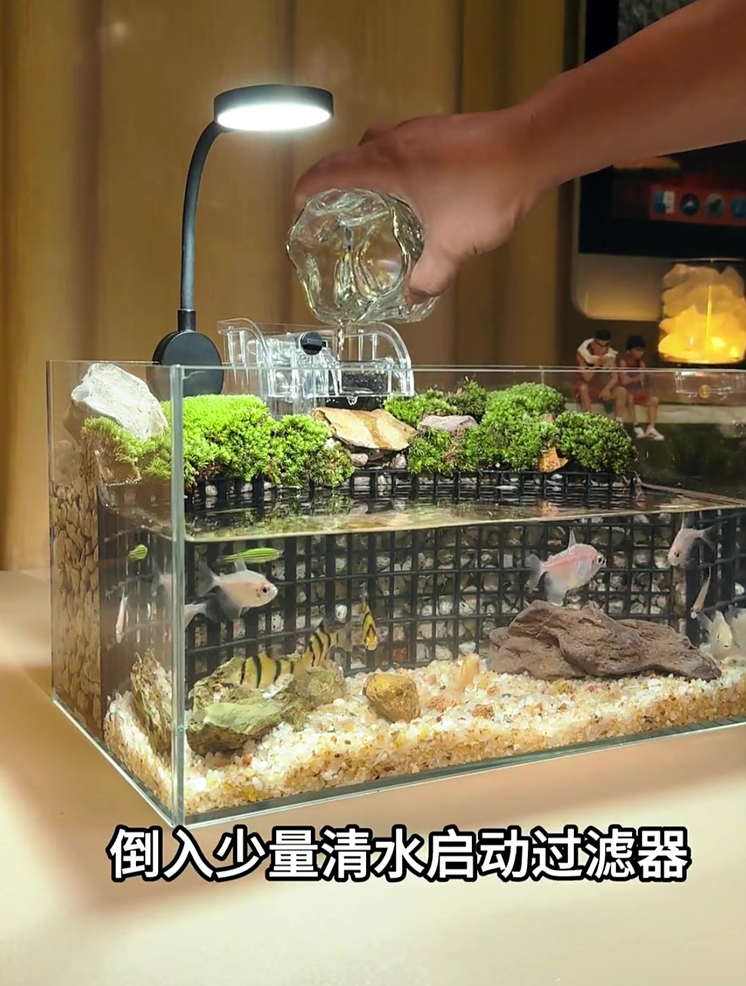 如何让鱼缸造景更自然、更舒适?教你打造生态鱼缸!