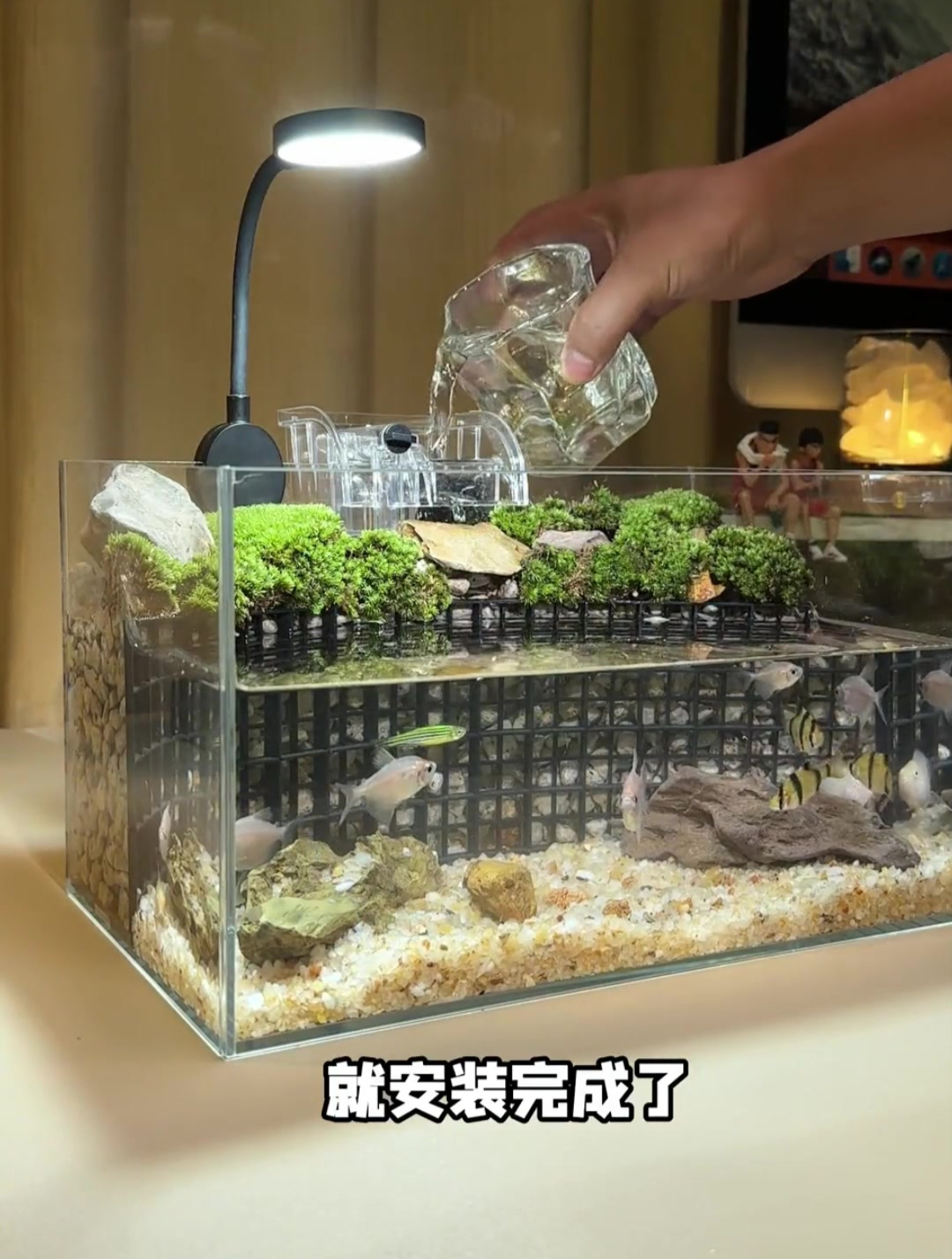 鱼缸造景:给我枯燥的桌面增添了一道生机和愉悦