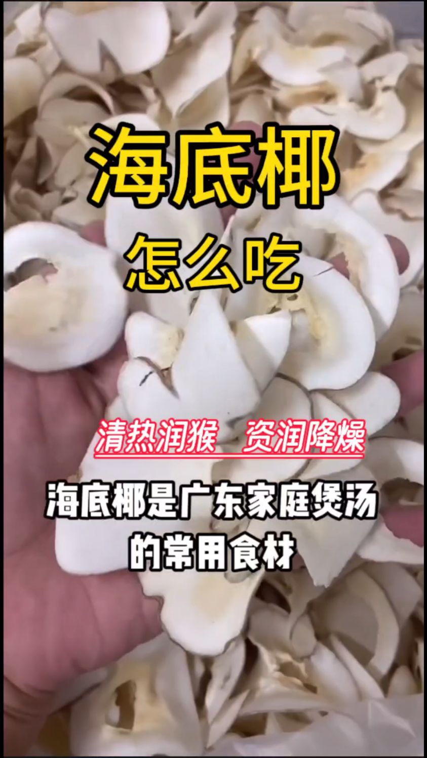 海底椰真是的清热润猴的好东西