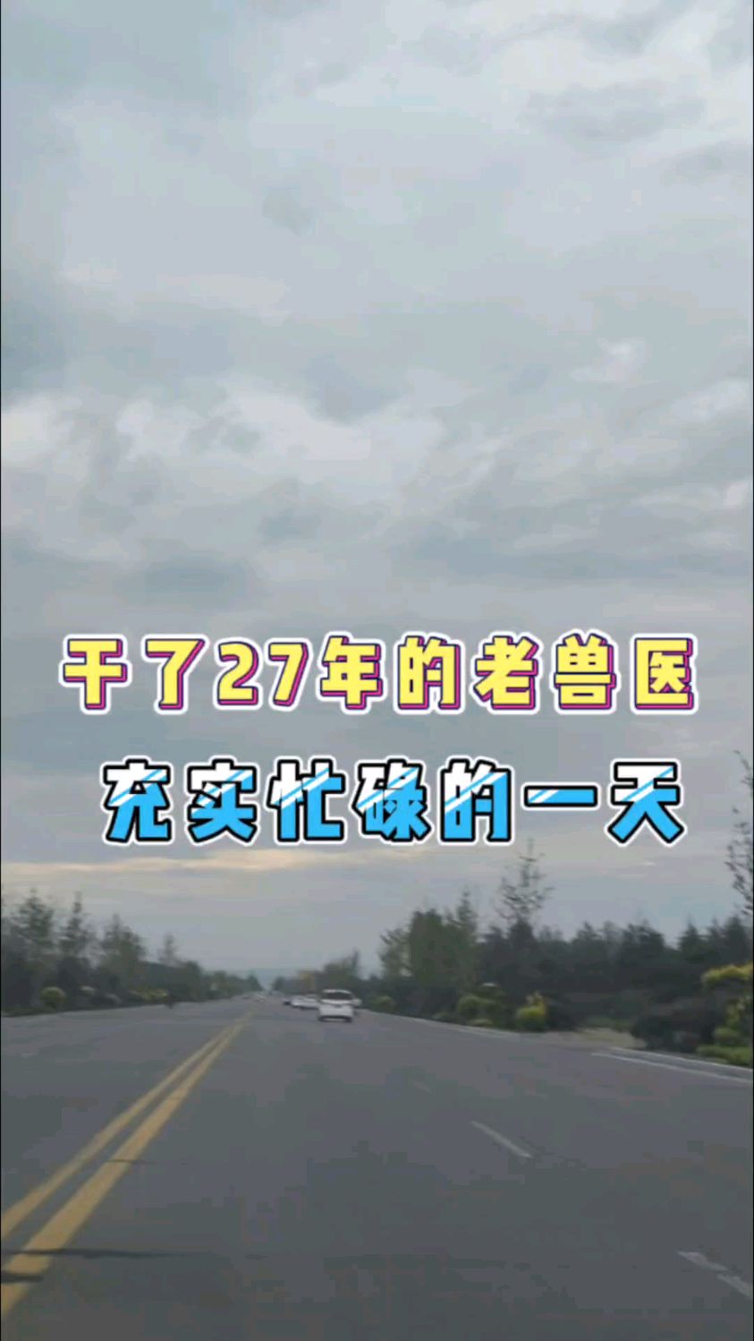 干了27年的兽医工作,一天都忙得啥?