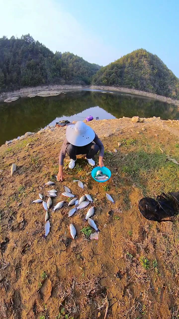 野河探钓大板鲫,#钓鱼视频#冬钓鲫鱼