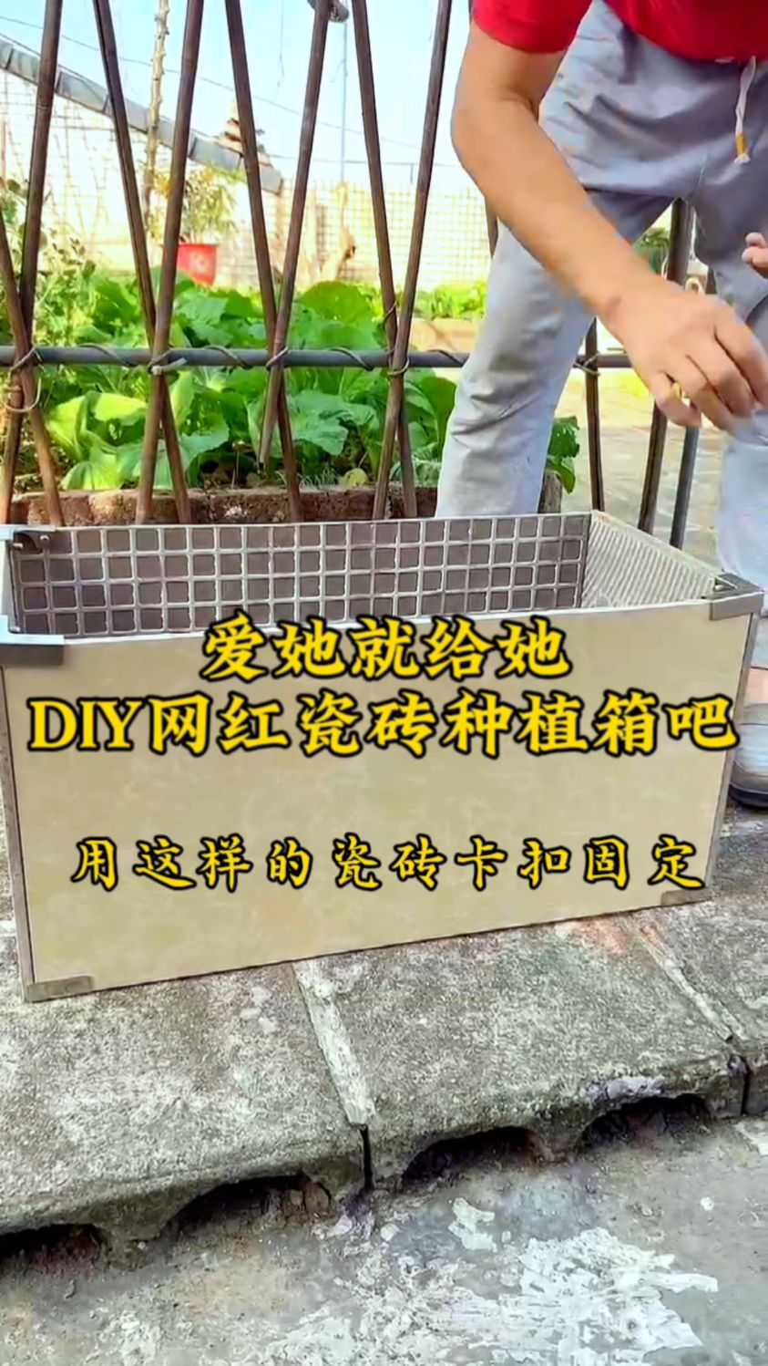 爱她就不要让她再用泡沫箱种菜啦,只需捡几块瓷砖就能在家自制网红瓷砖种植箱