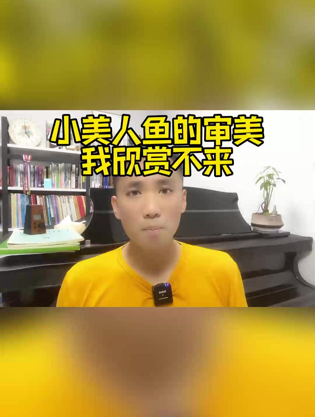 这一版的小美人鱼,我欣赏不了