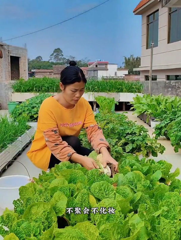 不爱打牌逛街,就爱来小菜园,一呆就是一天!